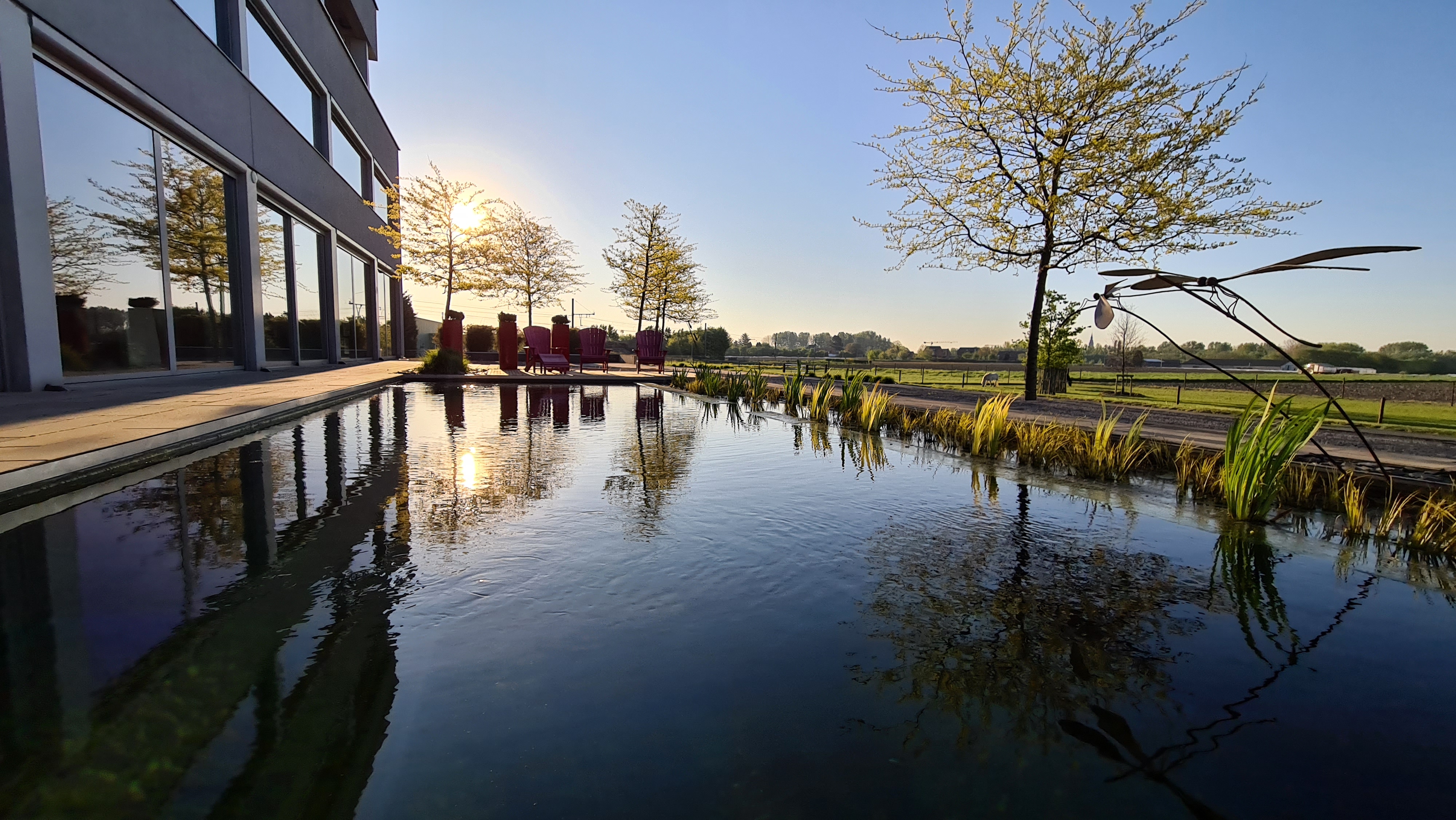 Het terras en de vijver van Syneton Building met uitzicht over de velden in Bornem